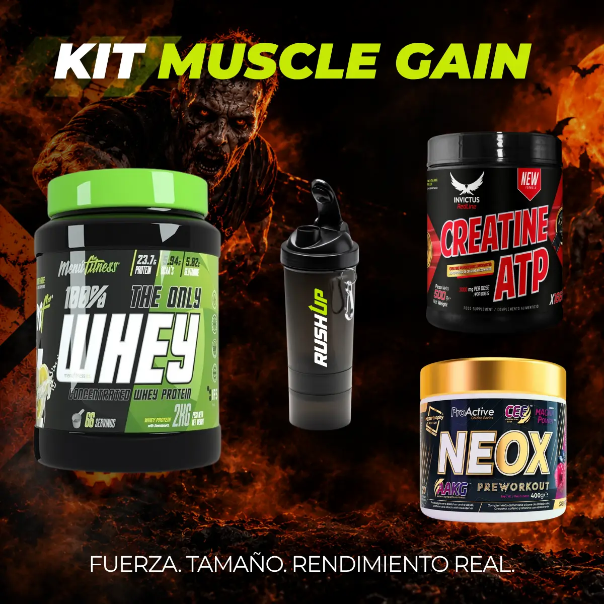 KIT MUSCLE GAIN 1 KIT MUSCLE GAIN