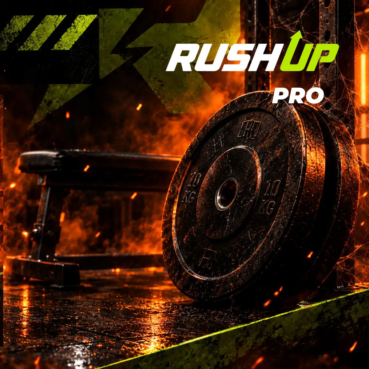 Plan RUSHUP PRO 1 Plan RUSHUP PRO
